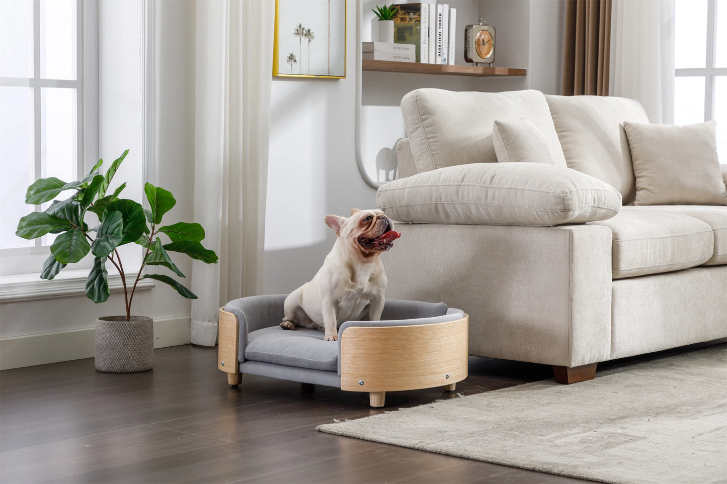 Scandinavian Style Elevated Dog Bed Pet Sofa with Solid Wood Legs, Bent Wood Back, Velvet Cushion, Mid-Size, Dark Grey