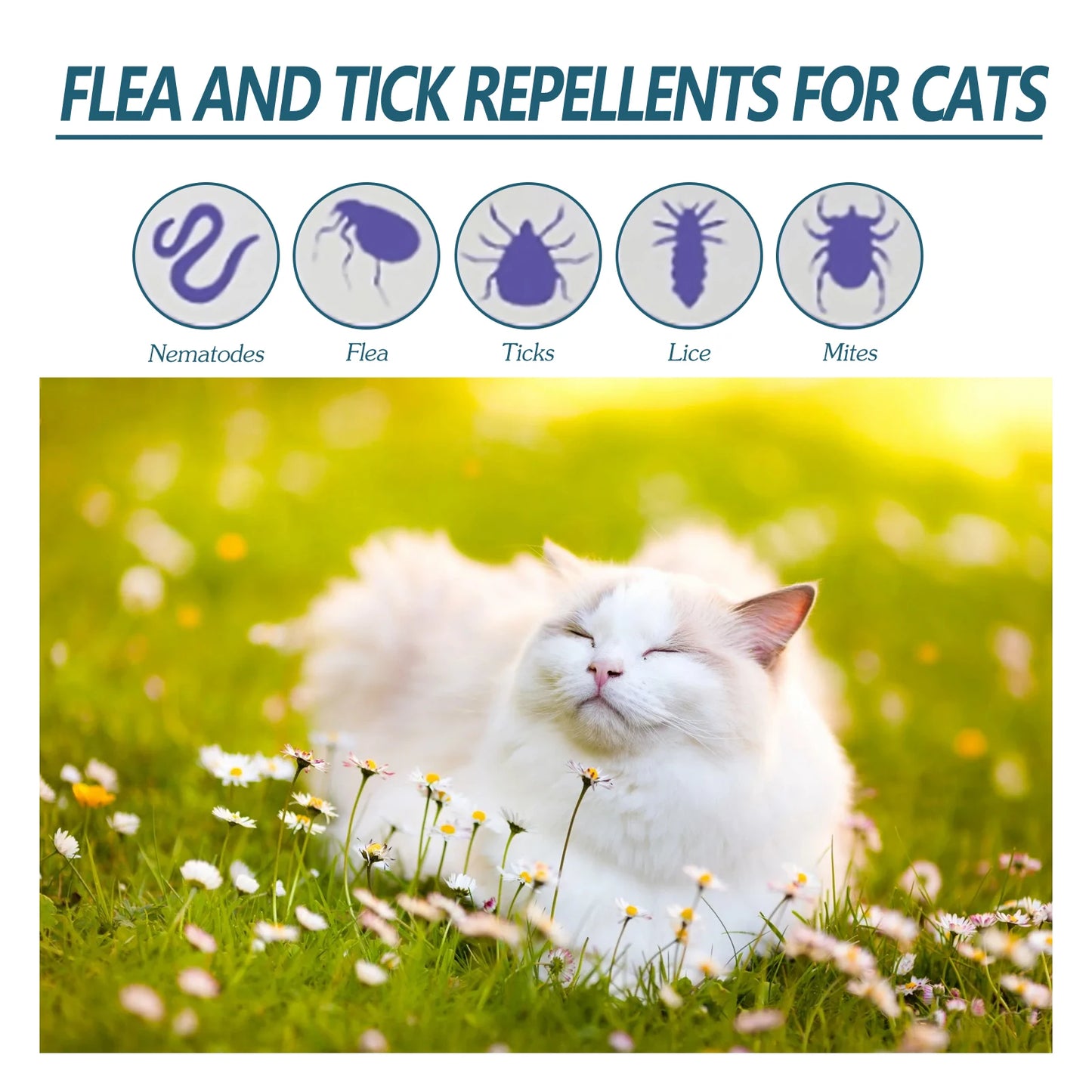 Natural Anti-Flea & Tick Drops for Cats and Dogs, 50ml
