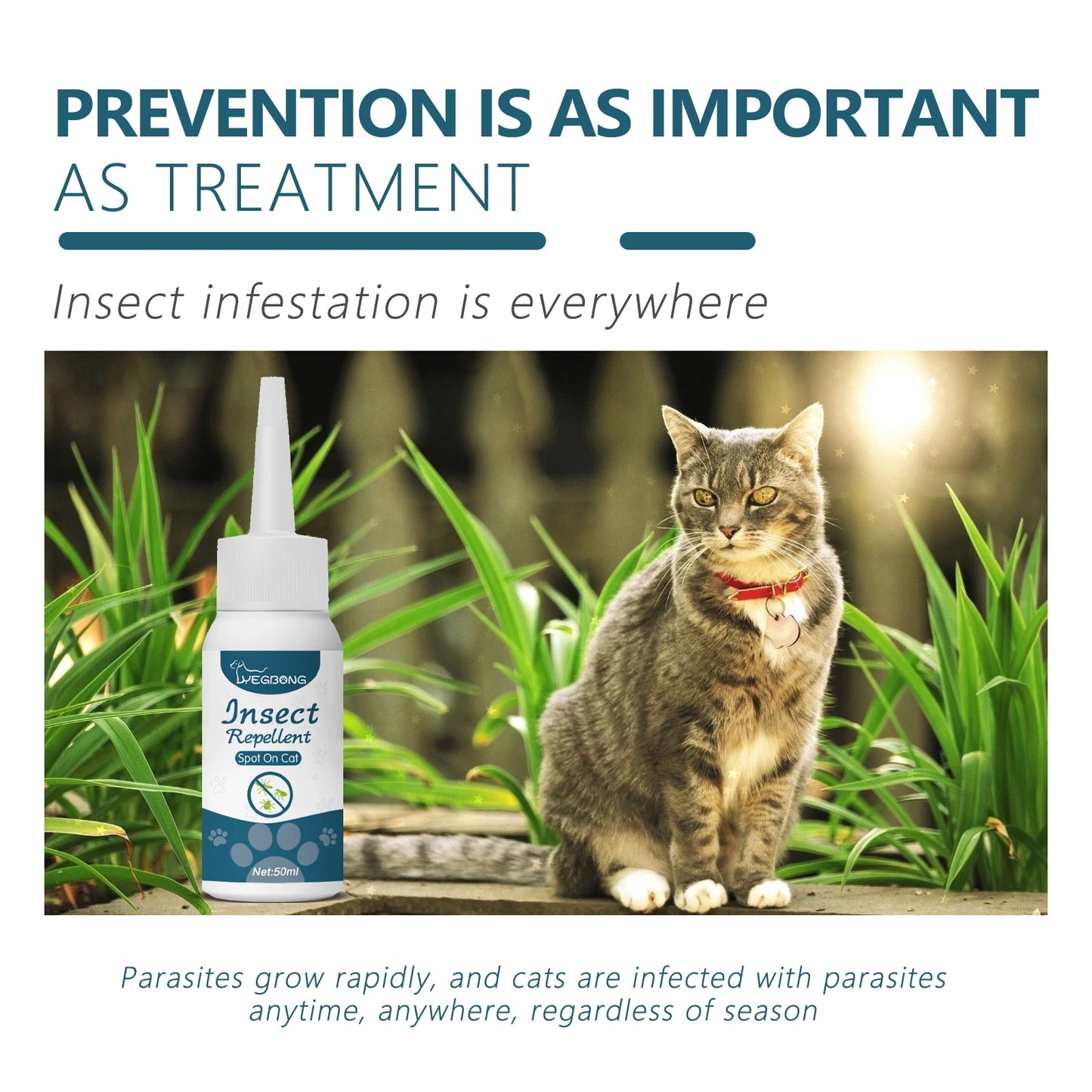 Natural Anti-Flea & Tick Drops for Cats and Dogs, 50ml