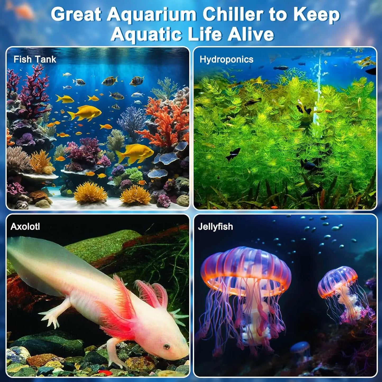 1/3 HP Aquarium Water Chiller for 79-Gallon Fish Tanks