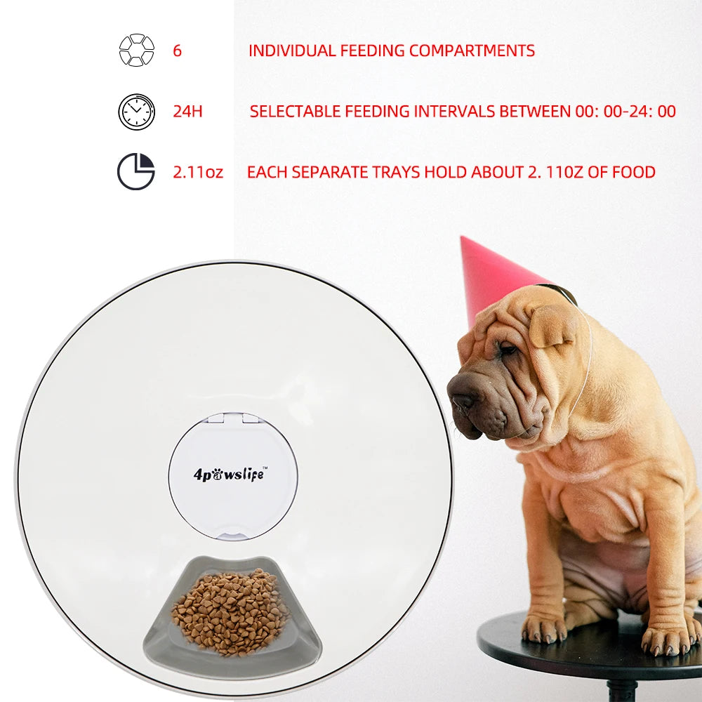 Automatic 6-Meal Pet Feeder with Timer for Dogs & Cats