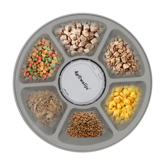 Automatic 6-Meal Pet Feeder with Timer for Dogs & Cats - front view