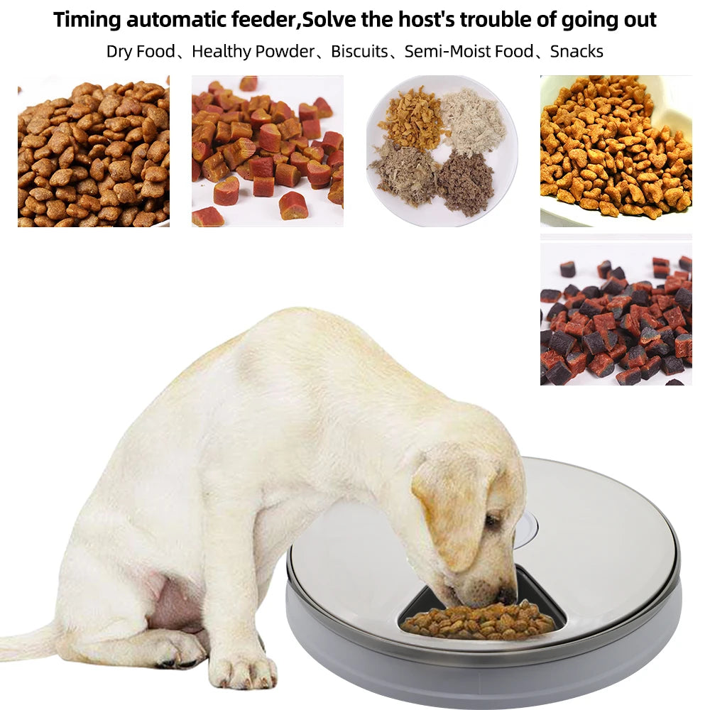 Automatic 6-Meal Pet Feeder with Timer for Dogs & Cats