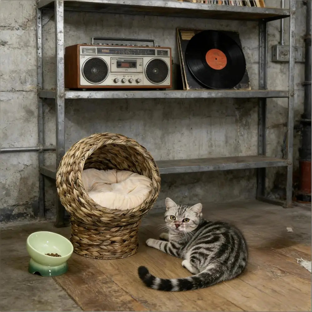 Ye Basket Bed Kitty House: Elevated Cat Bed