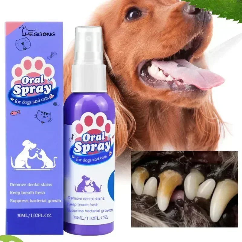 Pet Teeth Cleaning Spray Oral Care for Cats & Dogs - front view