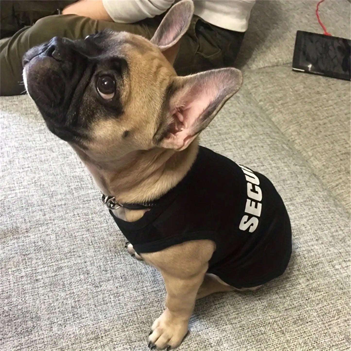 Breathable Letter-Print Sleeveless Top for Dogs and Cats