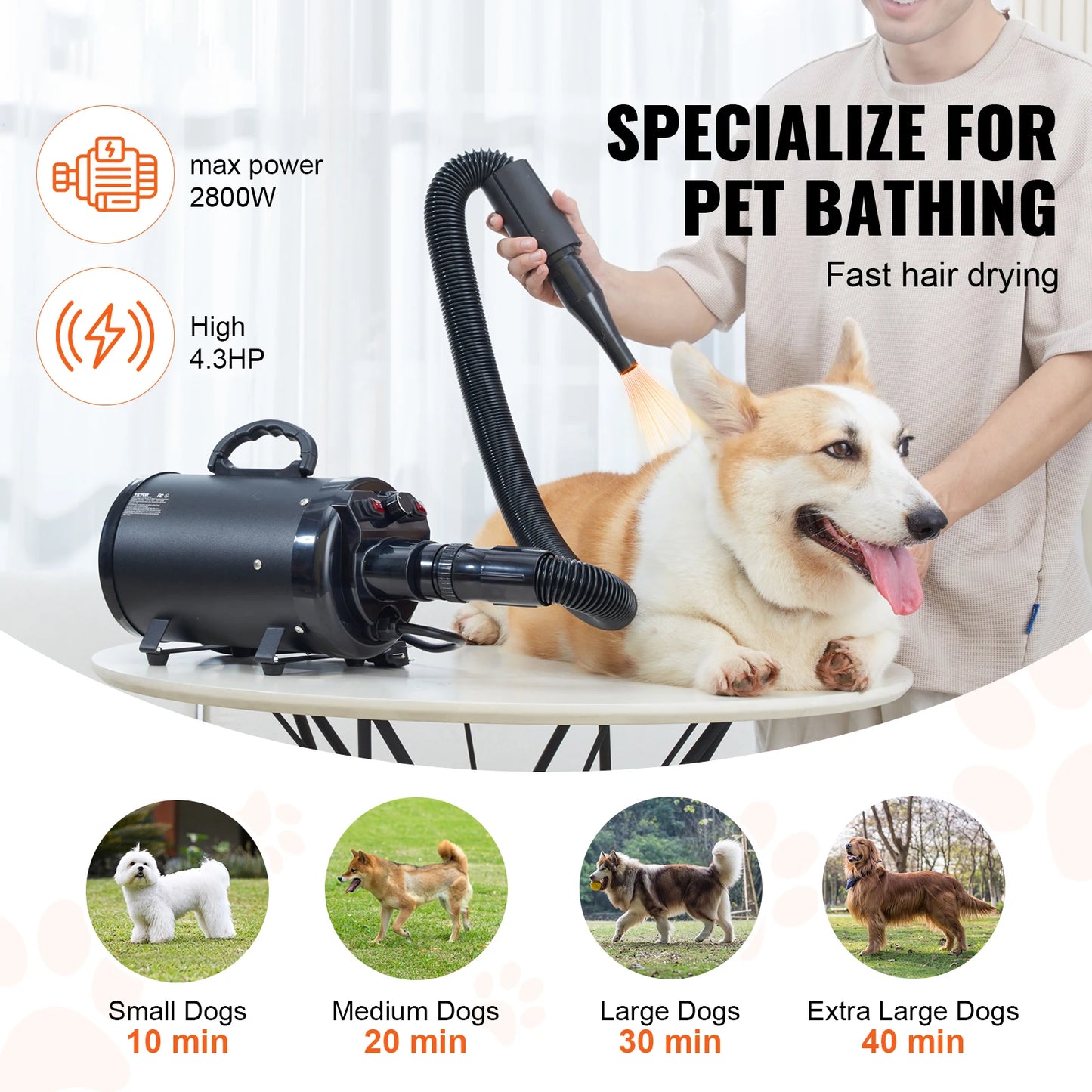 2000W Dog Blow Dryer with Adjustable Speed, Heat & 4 Nozzles