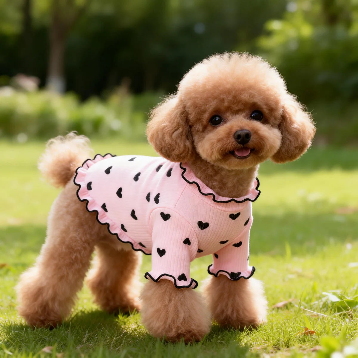 Stretch Ribbed Heart Pattern Pet T-Shirt for Dogs & Cats