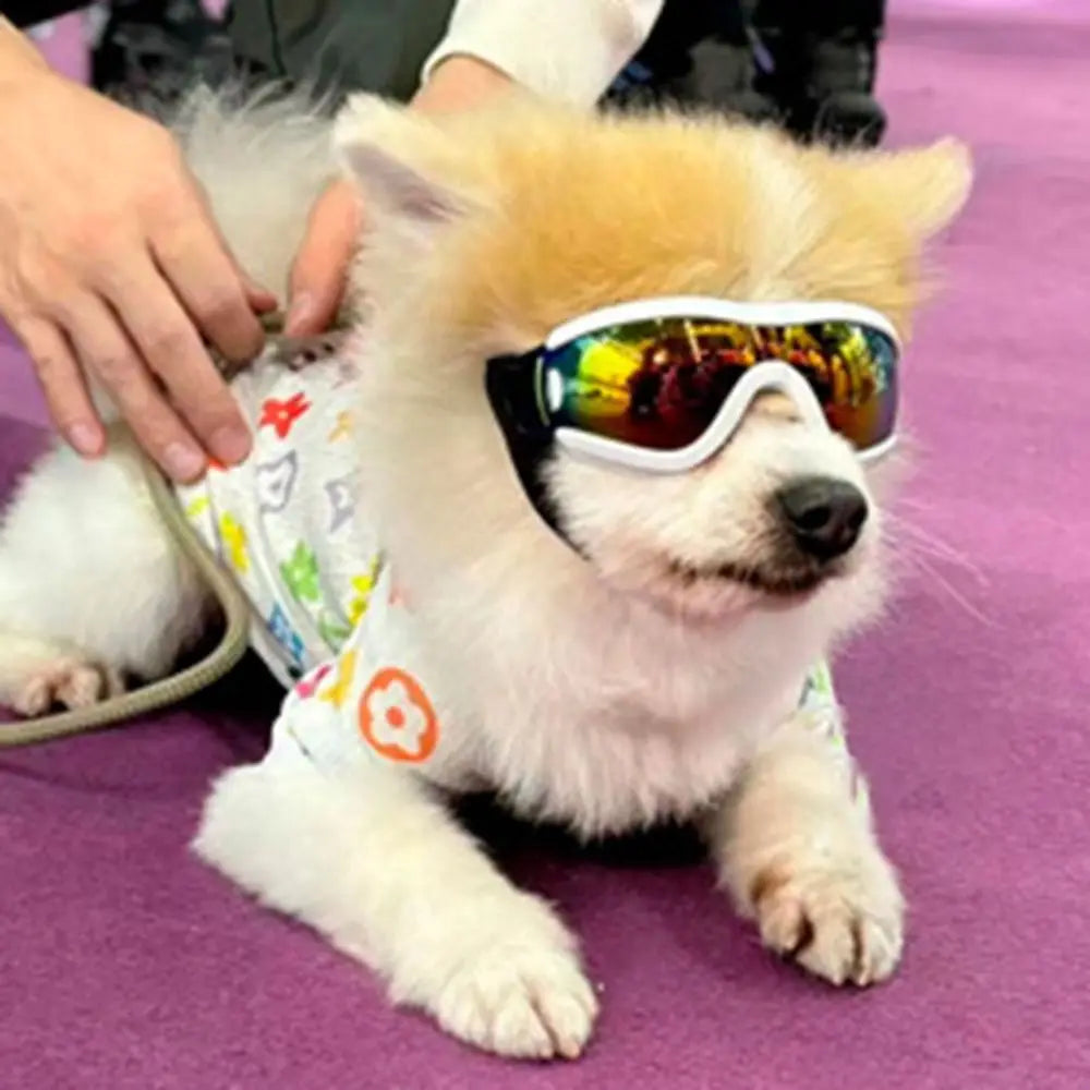 UV-Resistant Dog Goggles for Outdoor Protection main product image