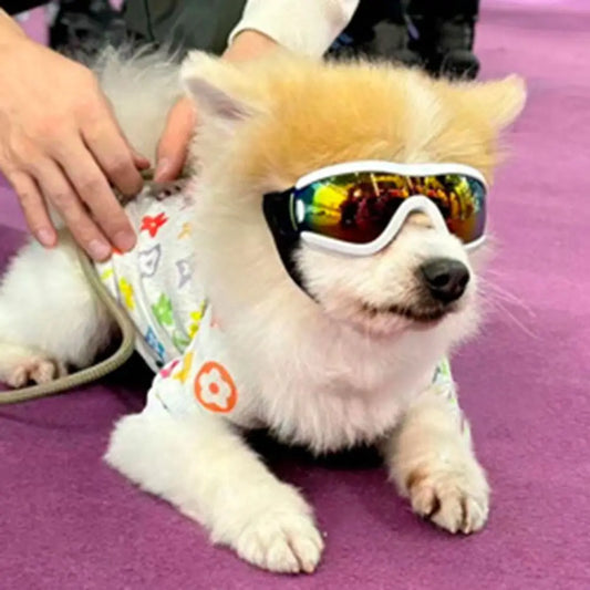 UV-Resistant Dog Goggles for Outdoor Protection main product image
