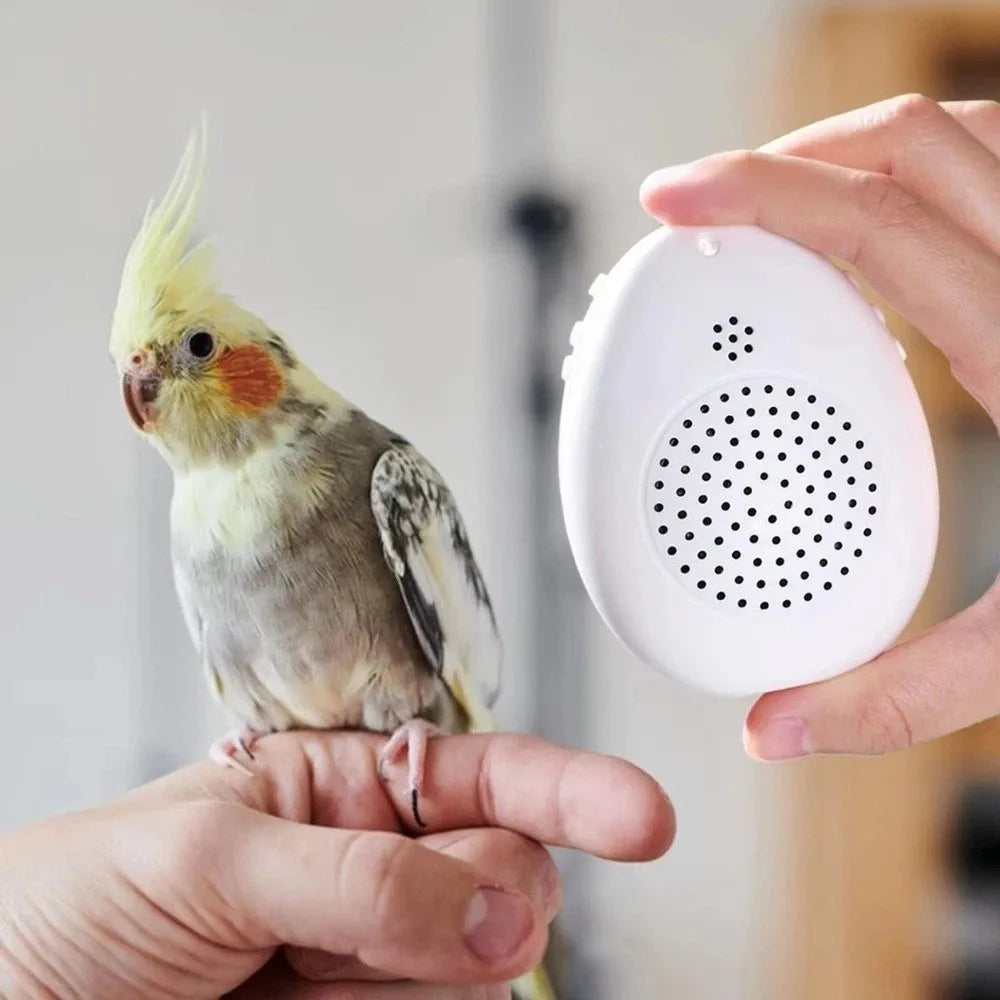 Interactive Bird Training and Playback Device product image 5