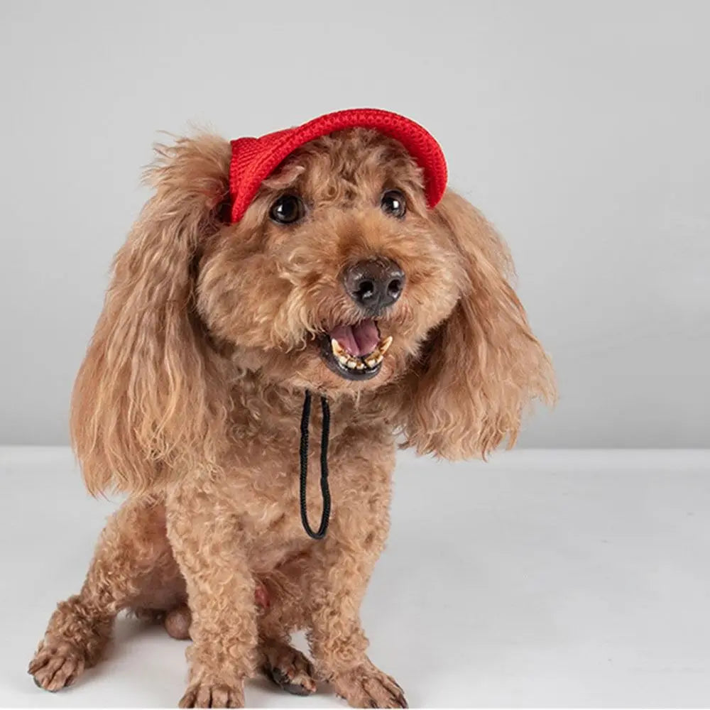 Adjustable Pet Sun Hat with Ear Holes product image 5