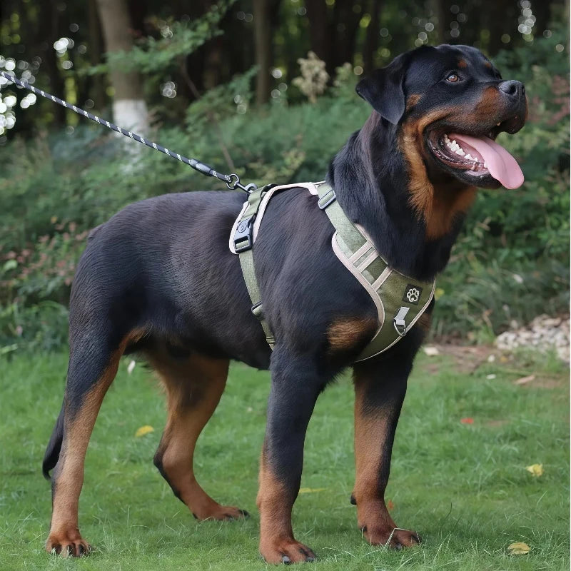 Tactical No-Pull Dog Harness & Leash Set, Reflective