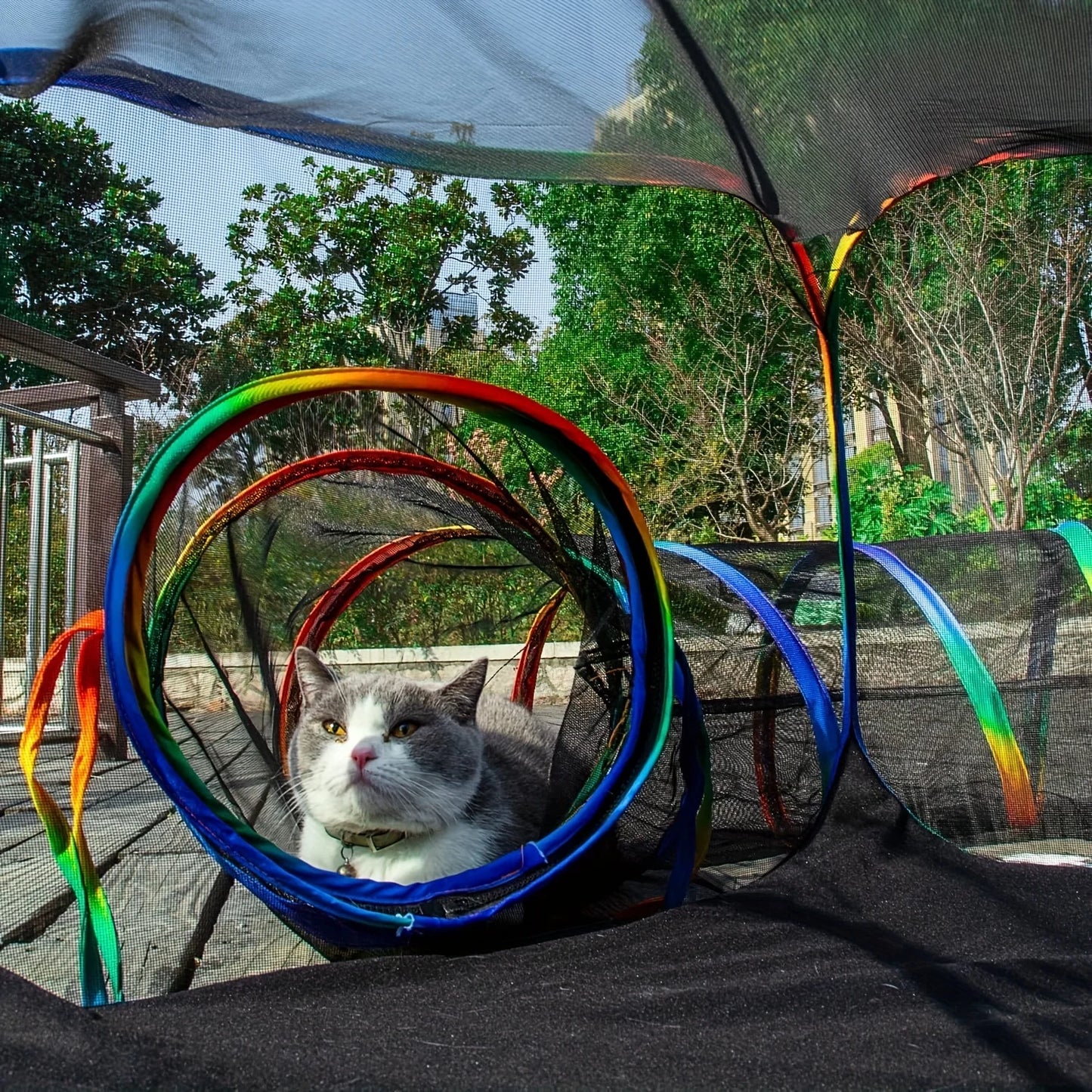 Cat Tunnel, Outdoor Cat Enclosures Playground, Rainbow Cat Playpen For Cats, Kitty And Small Animals, Include Portable Cat Tent With Circle Cat Tunnel JUYHGV