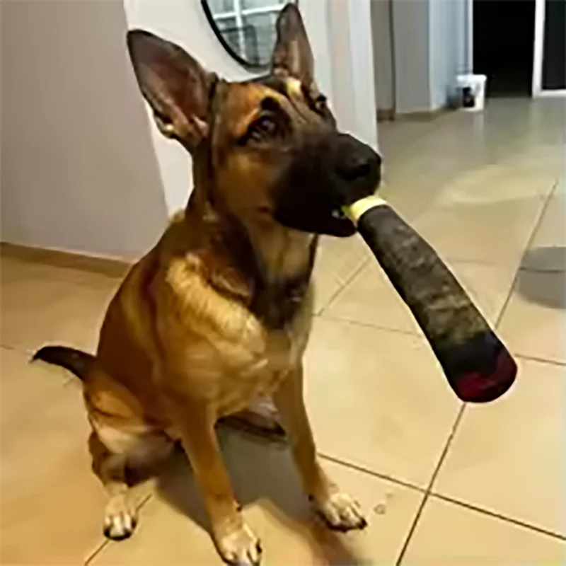 Plush Squeaky Dog Toy in Cigar Design product image 6