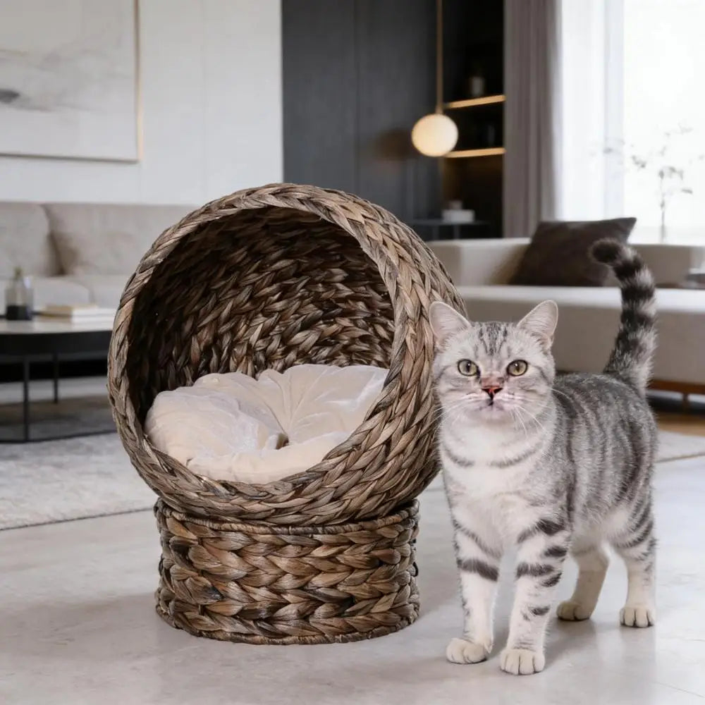 Ye Basket Bed Kitty House: Elevated Cat Bed