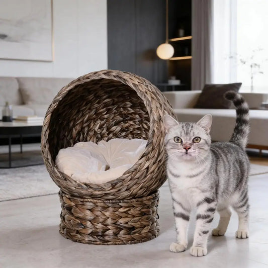 Ye Basket Bed Kitty House: Elevated Cat Bed