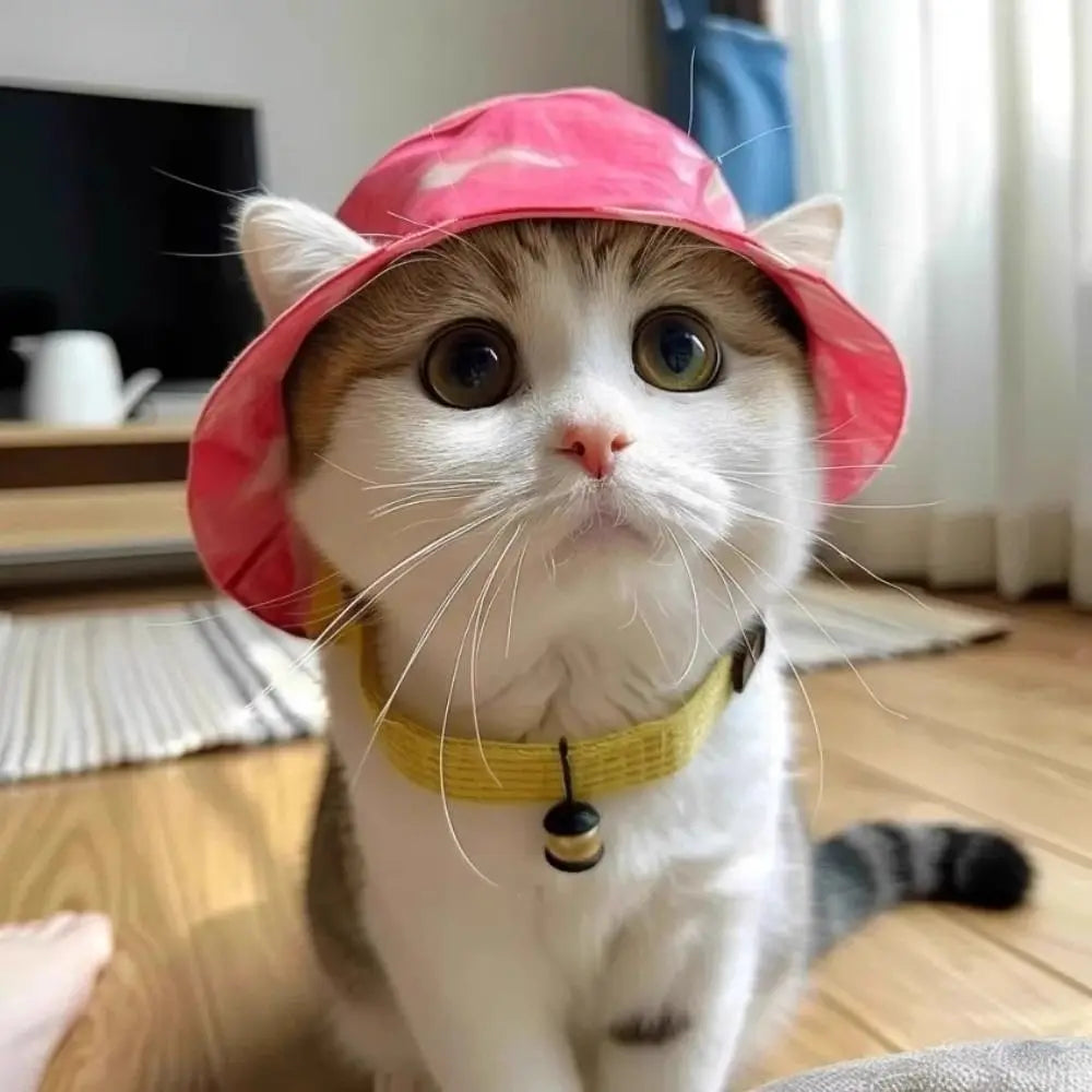 Cat Bucket Sun Hat with Ear Holes main product image