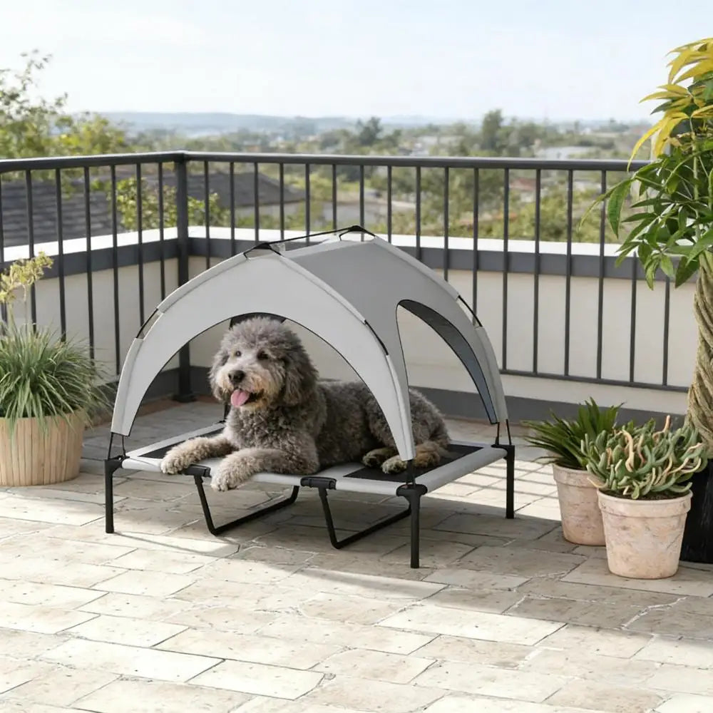 Ye Raised & Elevated Pet Bed