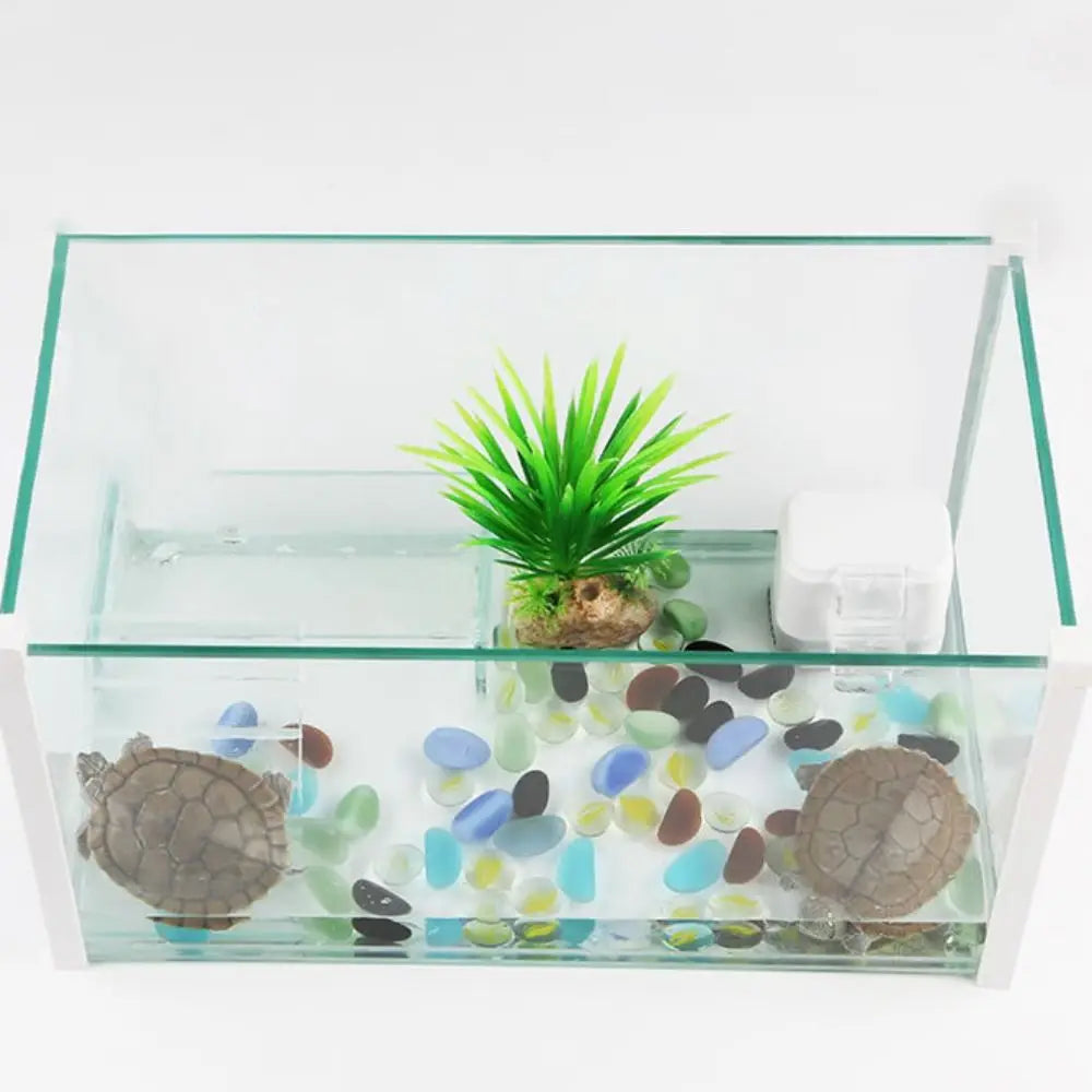 Mini Turtle Tank Filter Pump for Low Water Levels product image 5