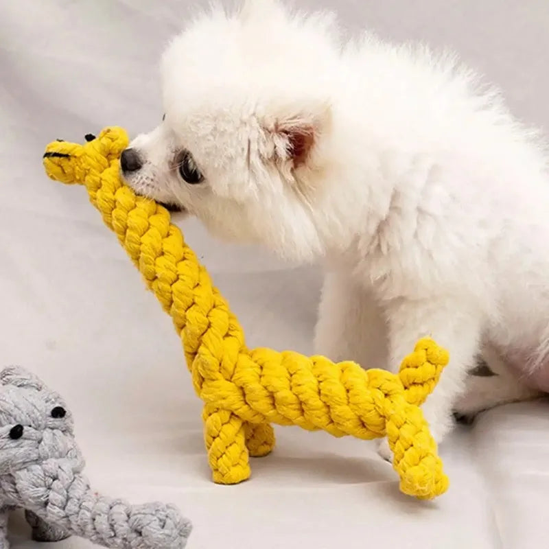 Cotton Rope Dog Toy for Chewing and Play - front view