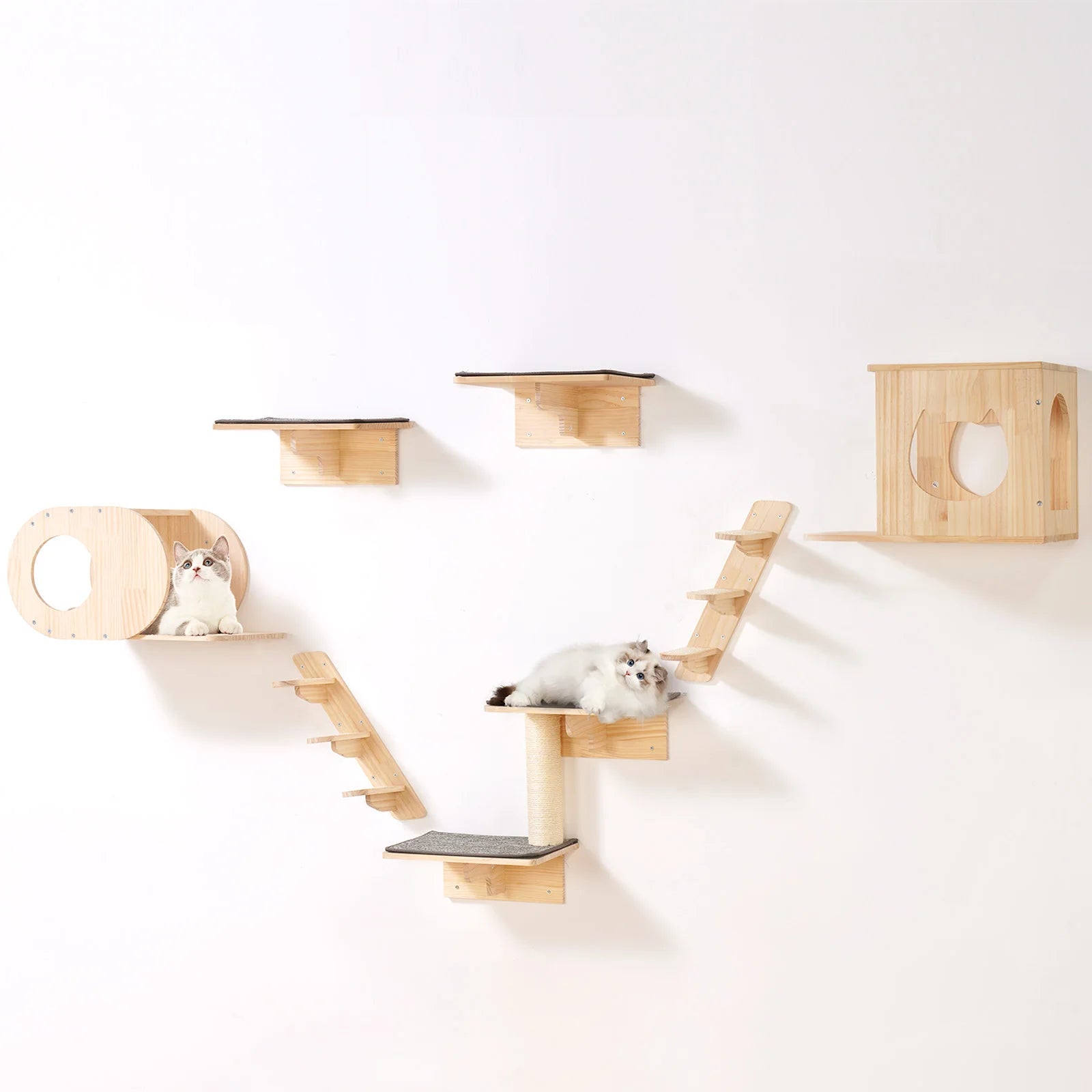 Wall-Mounted Cat Shelves with Perches, Jumping Boards & Hammock - front view