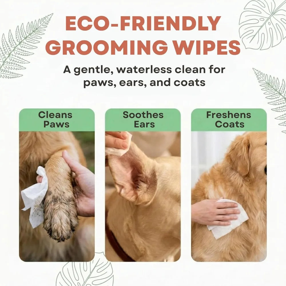 Plant-Based Pet Wipes, Hypoallergenic Dog & Cat Grooming Wipes for Face, Paws, Body, Unscented, Compostable, 100 Count
