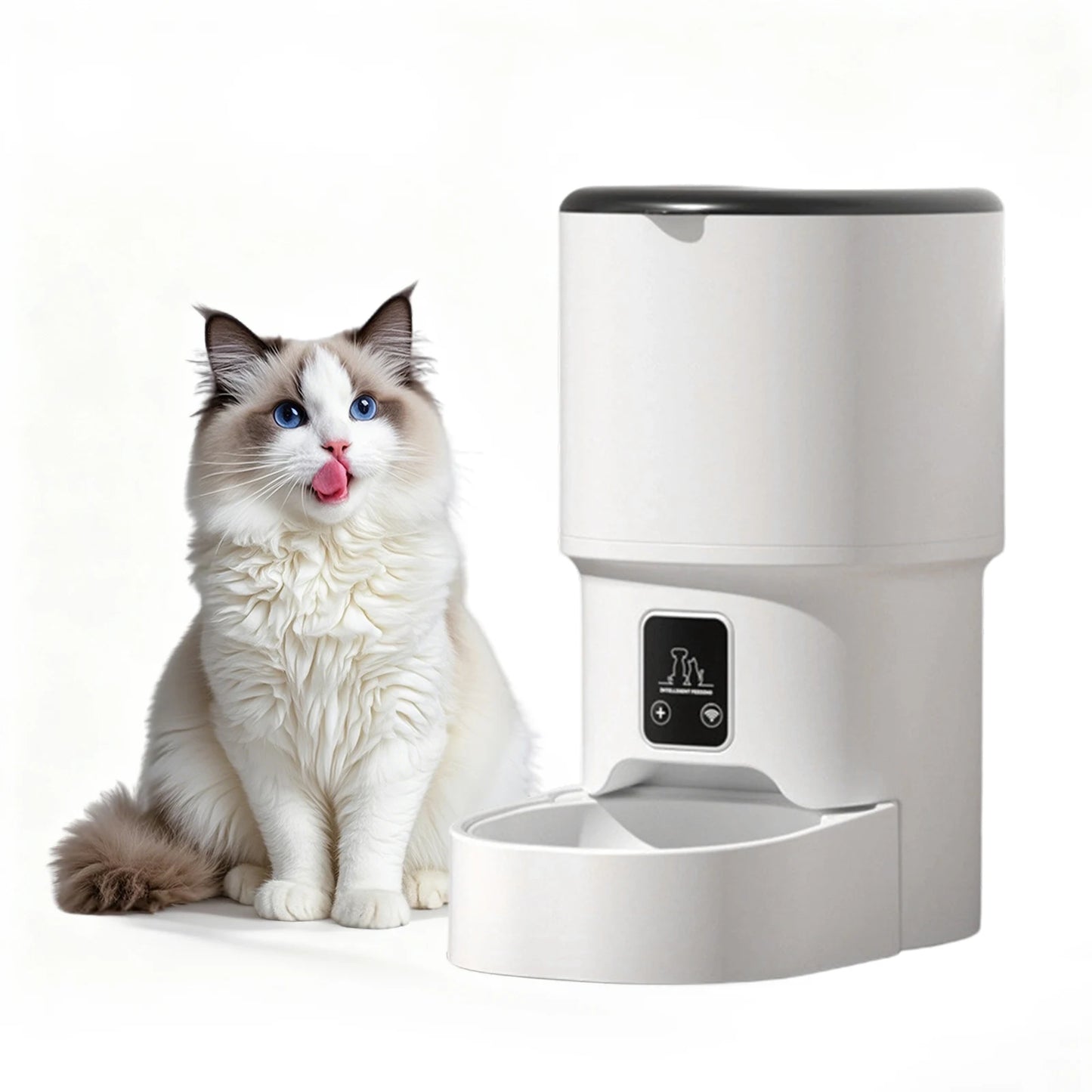 Automatic Pet Feeder with 6-Meal Portion Control product image 7