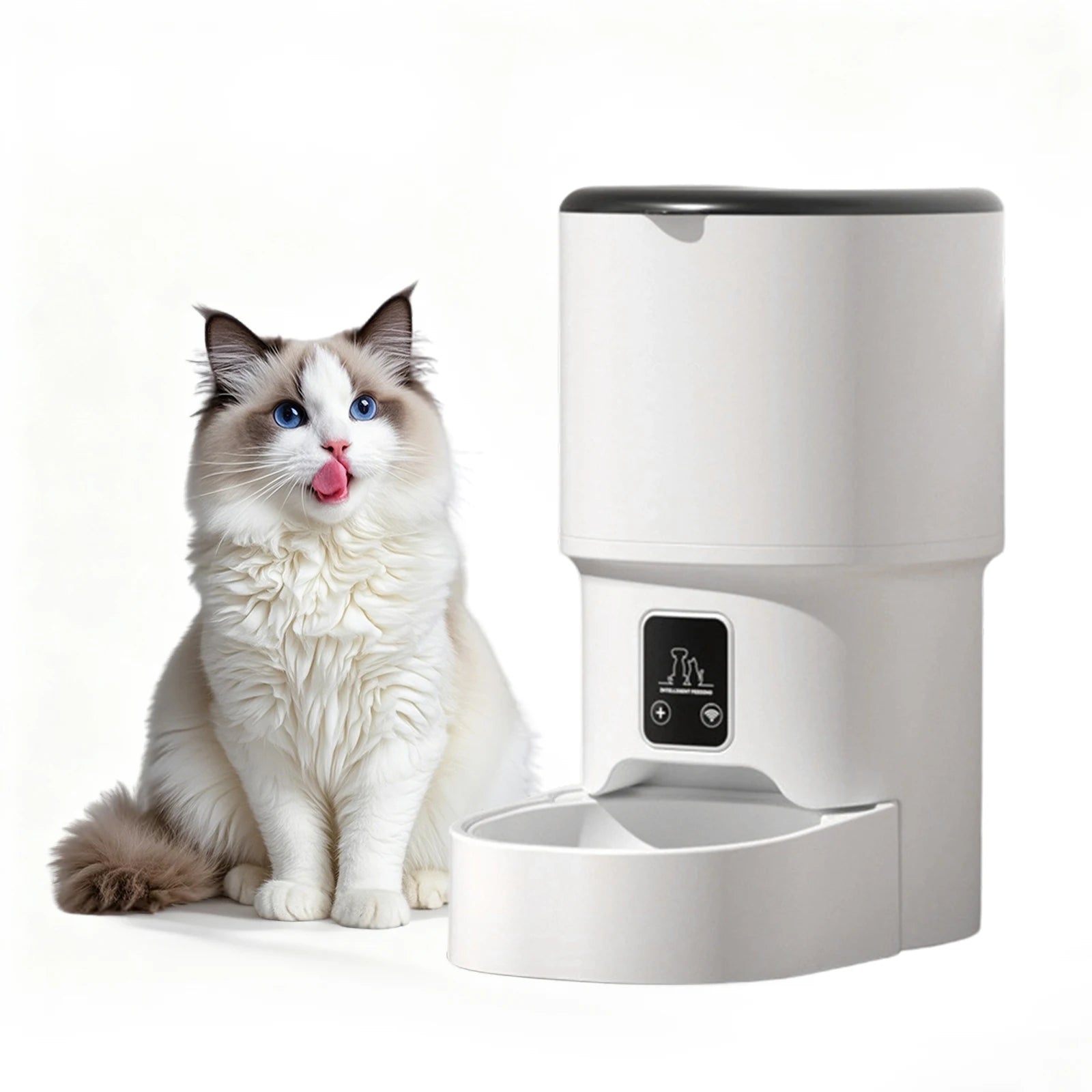 Automatic Pet Feeder with 6-Meal Portion Control product image 7