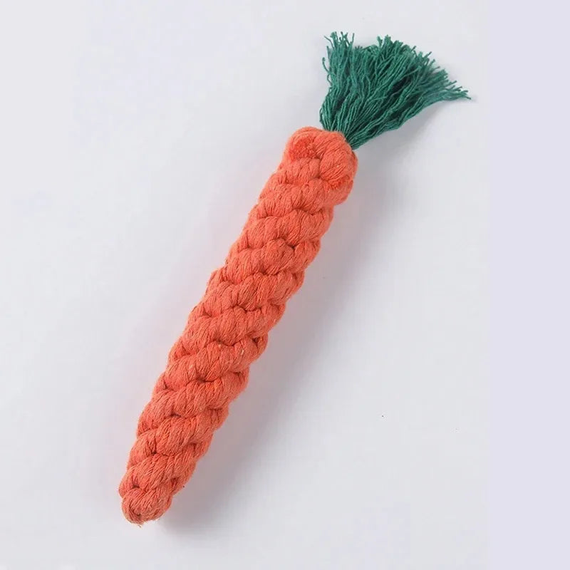 Cotton Rope Dog Toy for Chewing and Play - lifestyle in-use shot