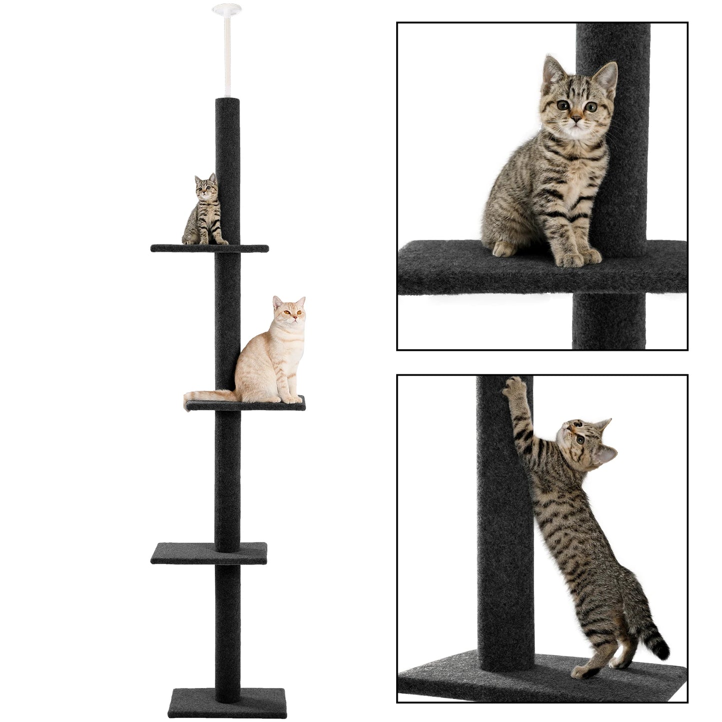 Adjustable Floor-to-Ceiling Cat Tower with Scratching Posts