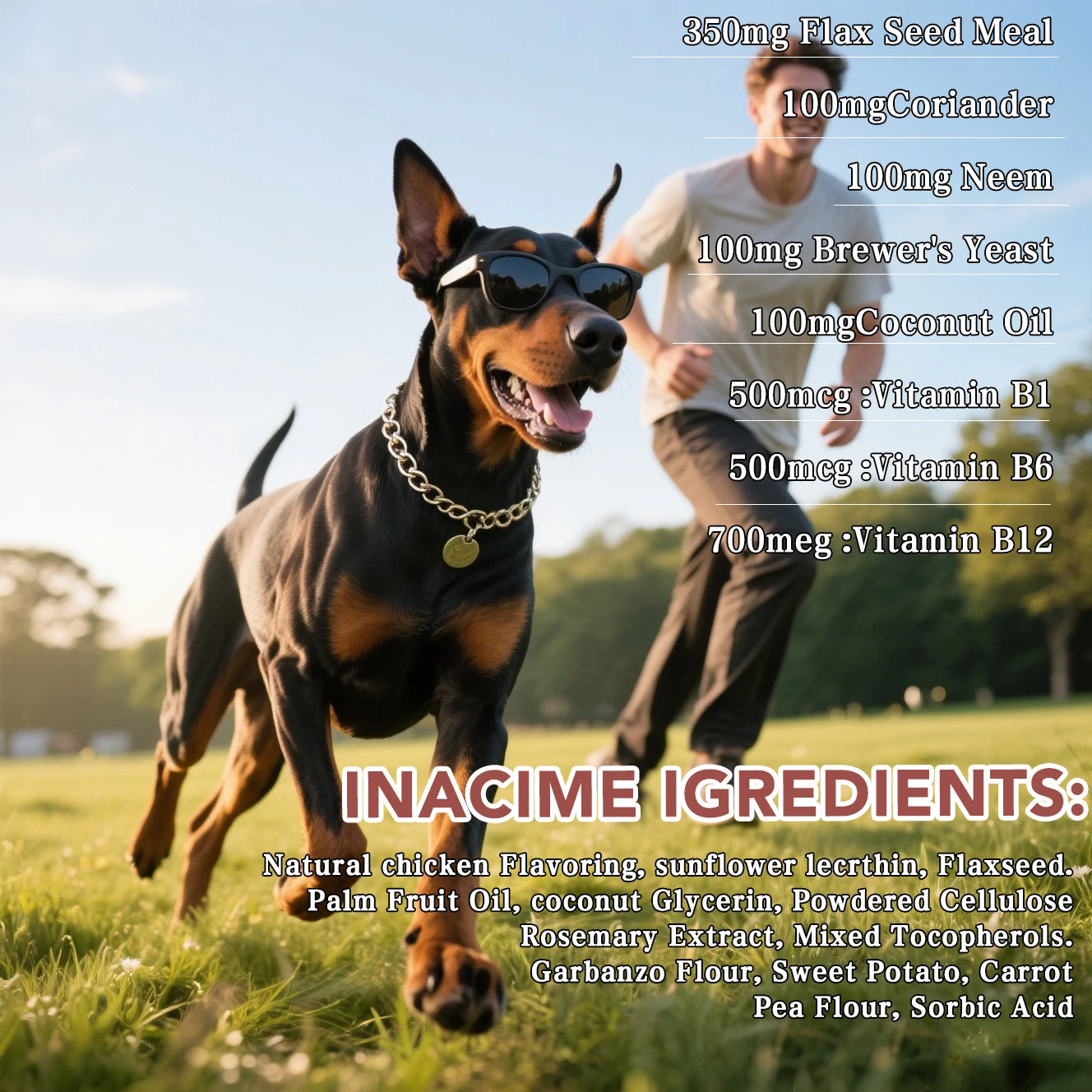 20-in-1 Dog Multivitamin Soft Chews Skin Coat Immune Gut Health Support Vitamins Minerals Omega-3 Iron Zinc Supplement for Dogs