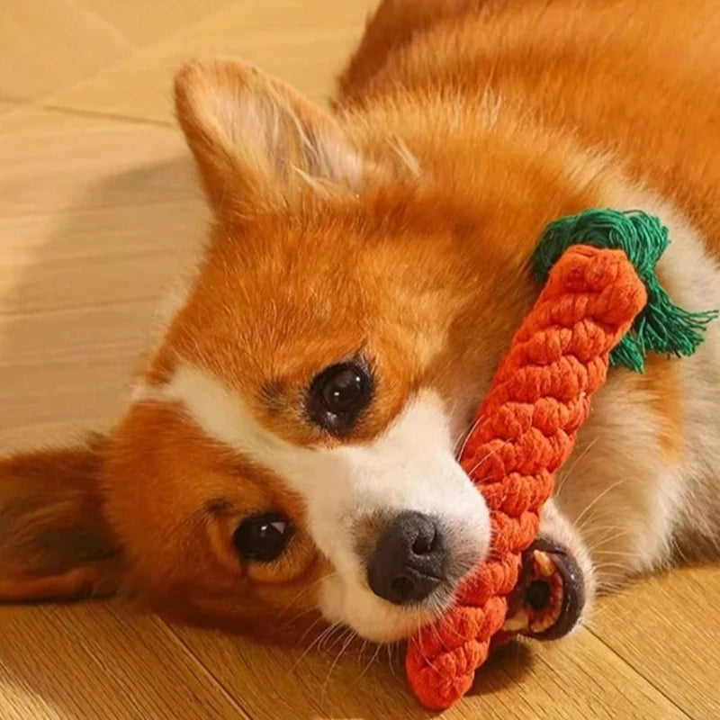 Cotton Rope Dog Toy for Chewing and Play - feature close-up view