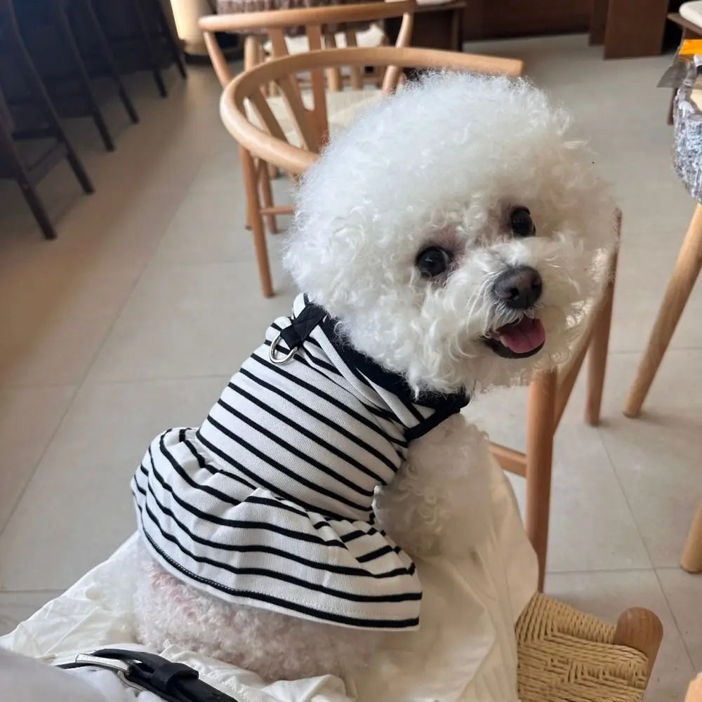 Striped Pet Vest and Dress for Small Dogs product image 5