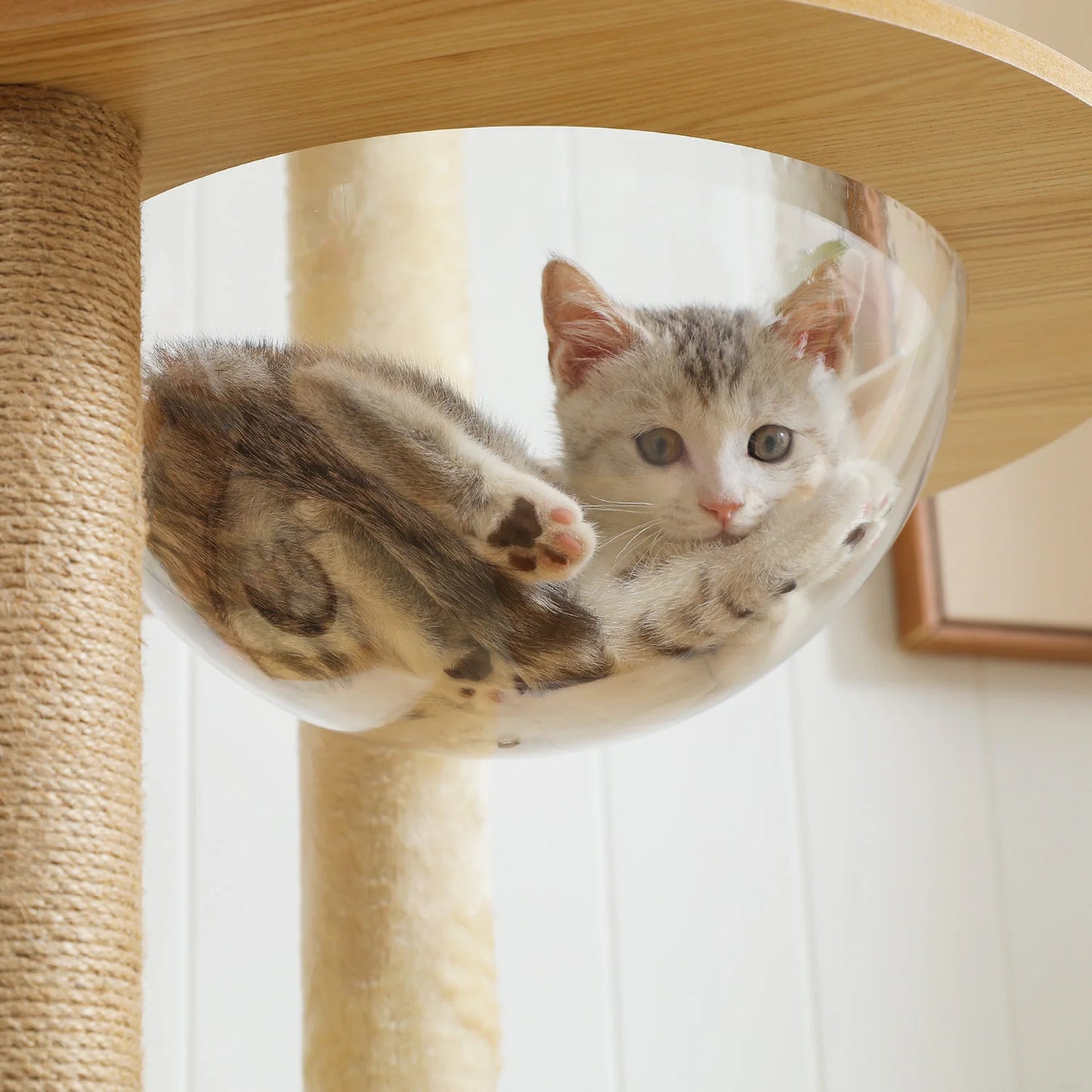 Multi-Level Wood Cat Tree with Condo, Hammock & Perch