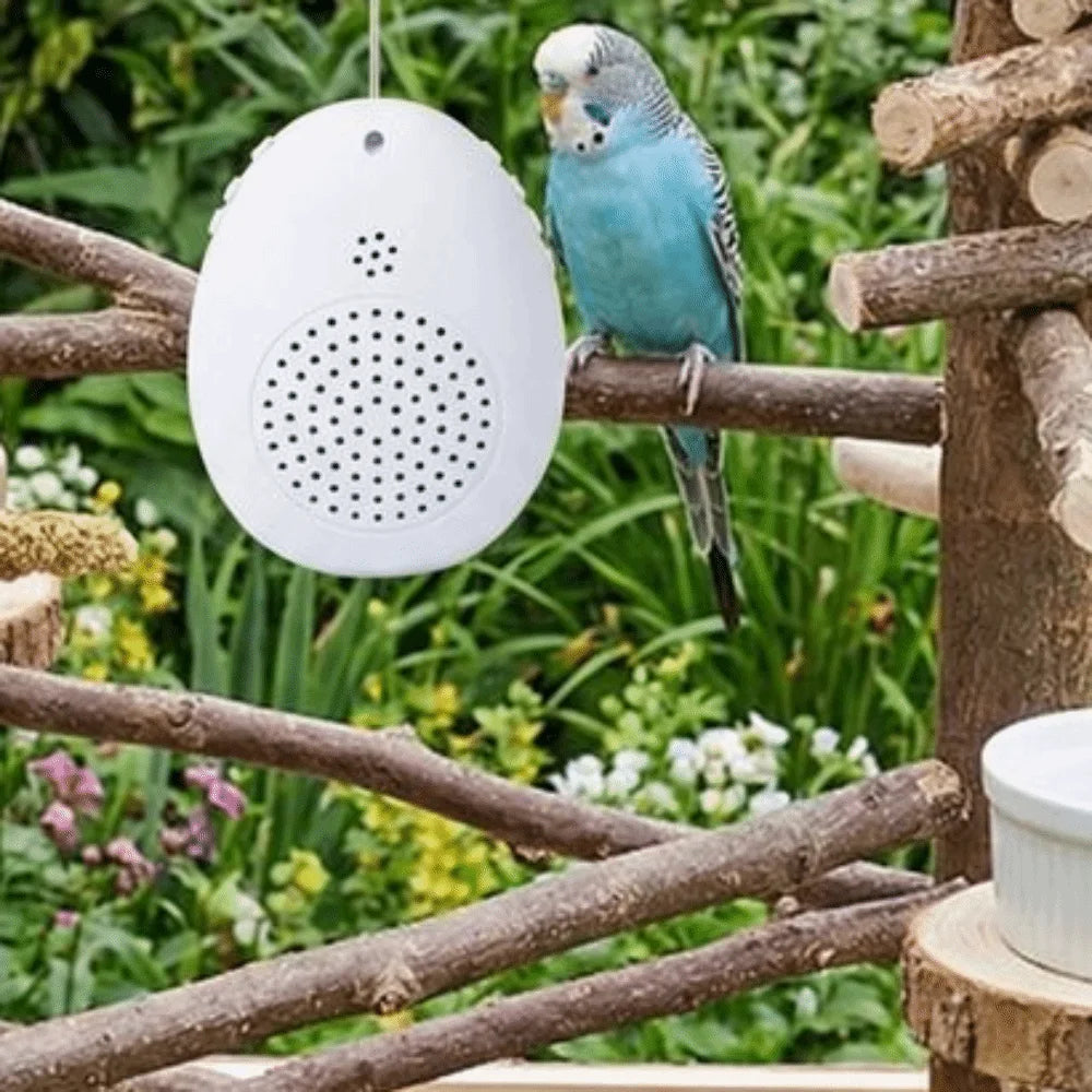 Interactive Bird Training and Playback Device product image 4