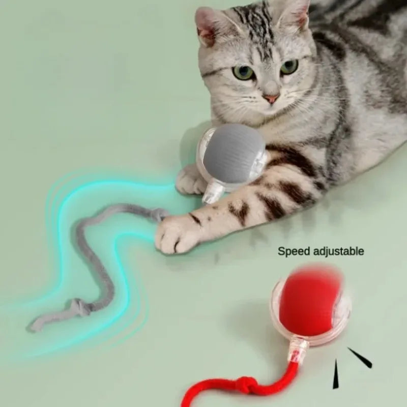 Automatic Rolling Cat Toy Ball with Smart Sensor product image 2