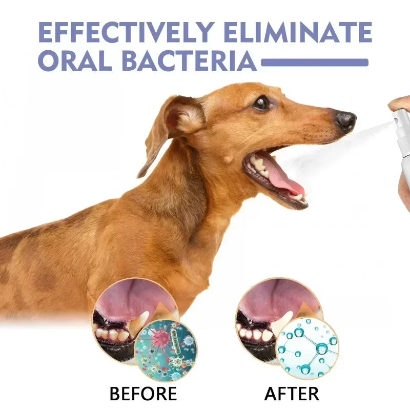 Pet Teeth Cleaning Spray Oral Care for Cats & Dogs
