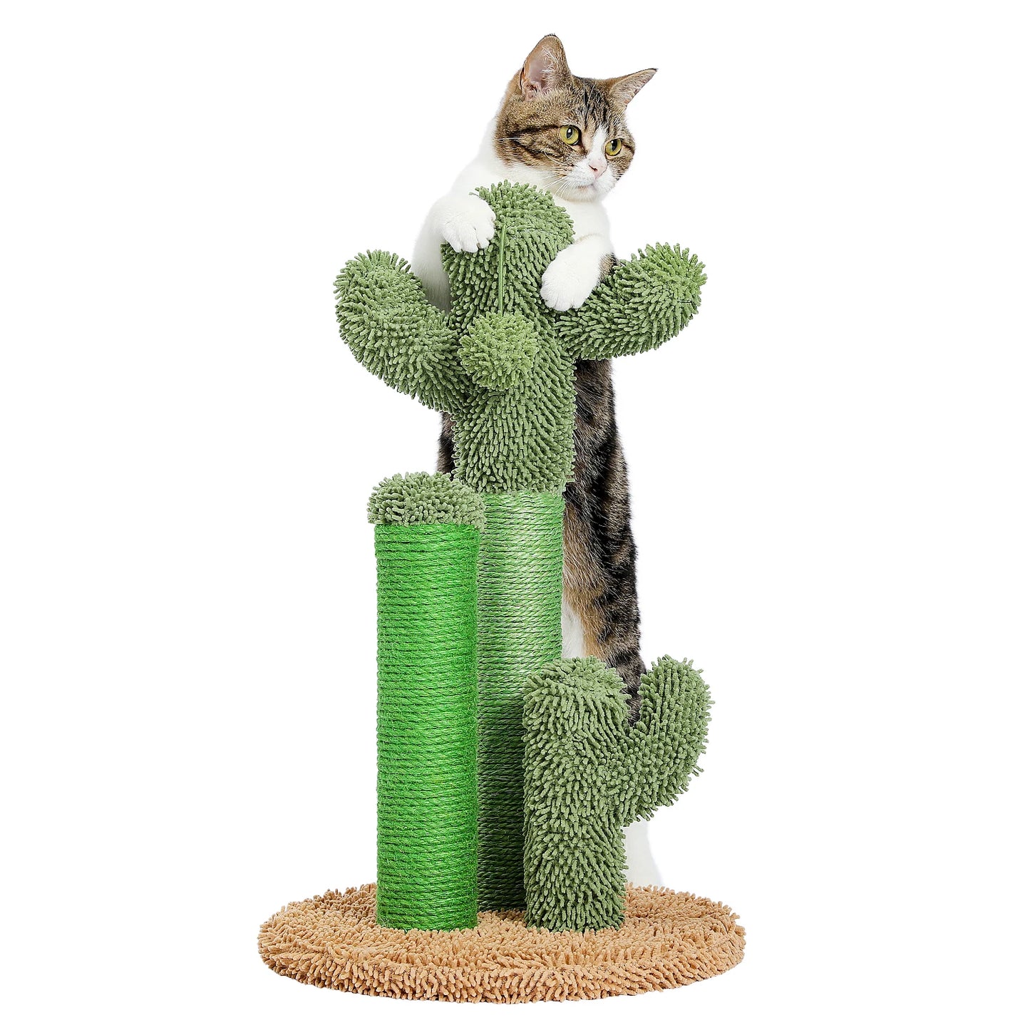 Cactus Cat Scratching Post with 3 Poles & Dangling Ball