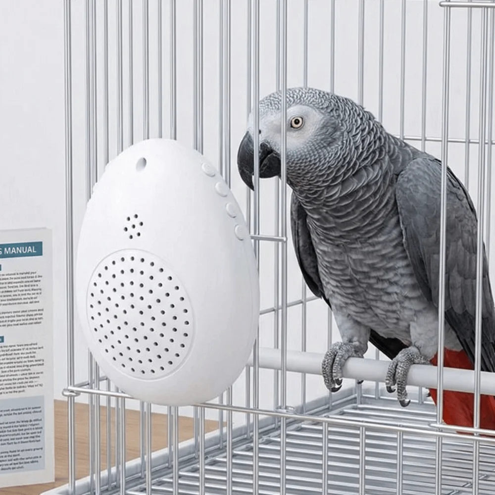 Interactive Bird Training and Playback Device main product image