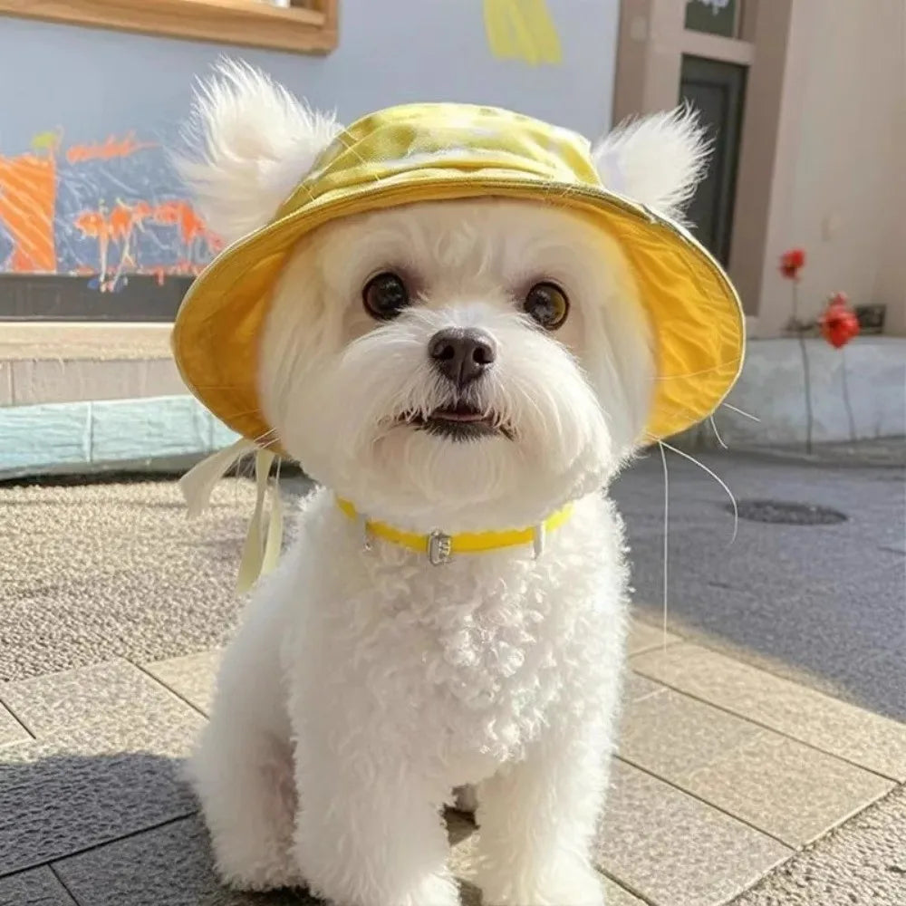 Cat Bucket Sun Hat with Ear Holes product image 3