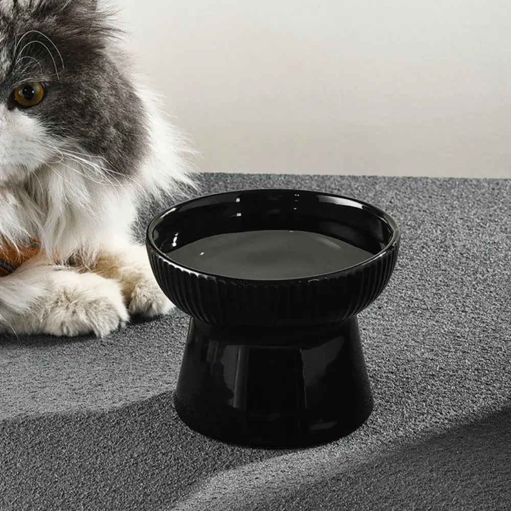 Slanted Elevated Ceramic Cat Bowl product image 5