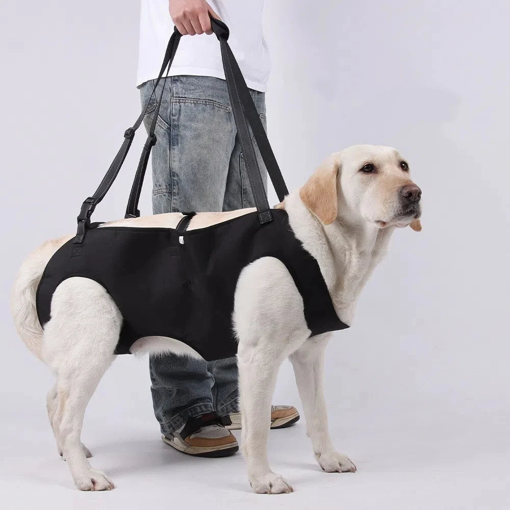 Adjustable Dog Lift Harness with Support Handle product image 5