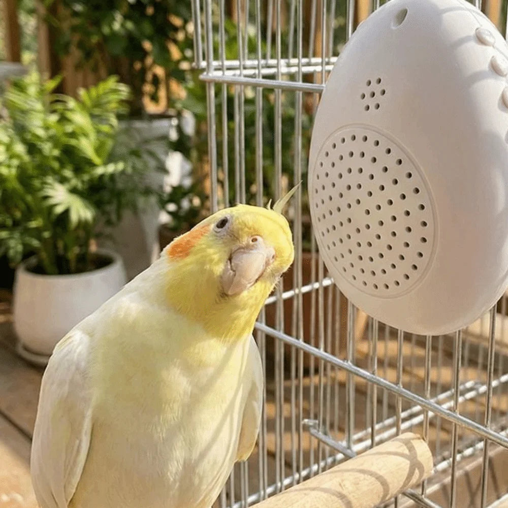 Interactive Bird Training and Playback Device product image 2