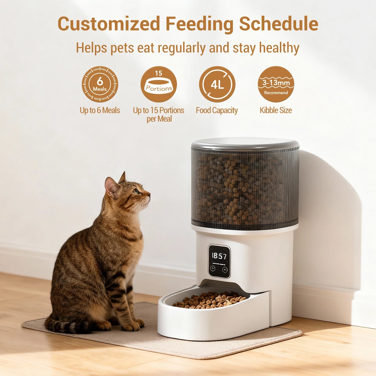 Automatic Pet Feeder with 6-Meal Portion Control product image 3