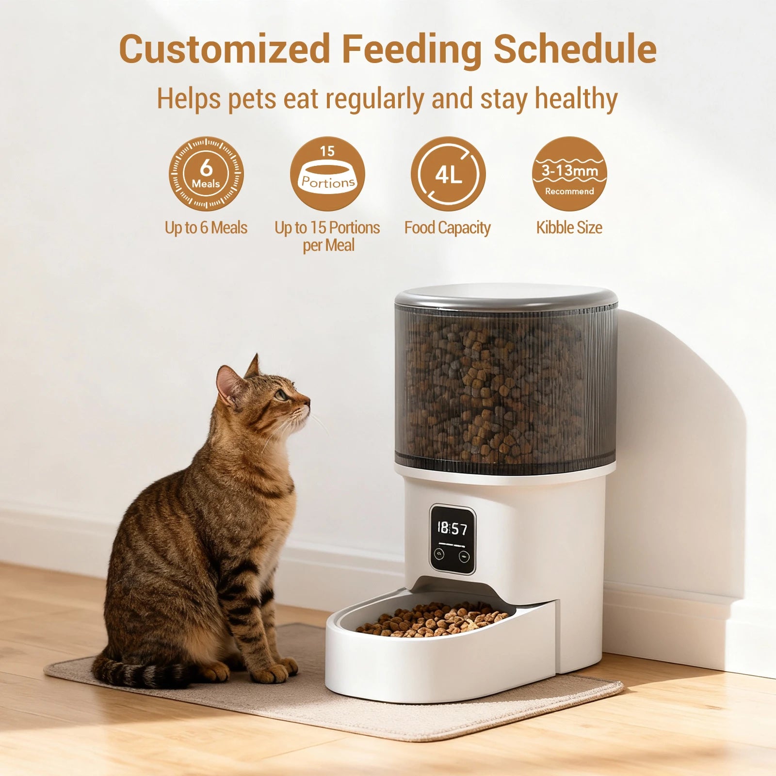 Automatic Pet Feeder with 6-Meal Portion Control product image 3