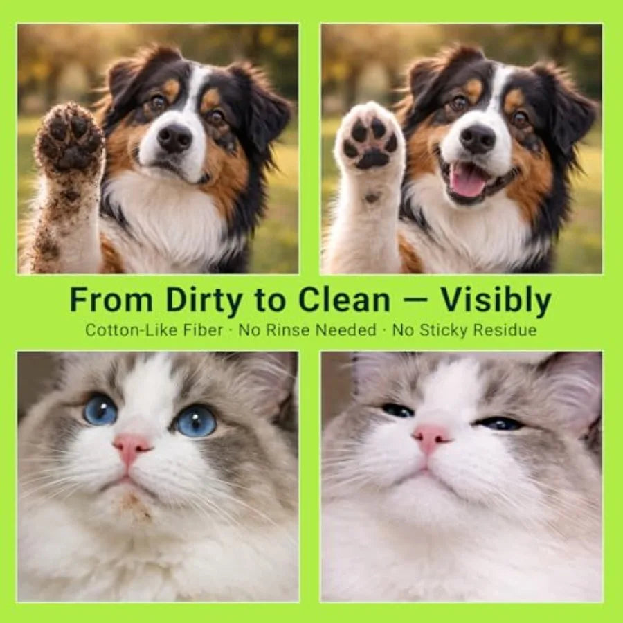 Pet Wipes for Dogs and Cats Individually Wrapped Dog and Cat Wipes for Paws Face and Body Alcohol-Free Pet Grooming Wipes 8"×8"