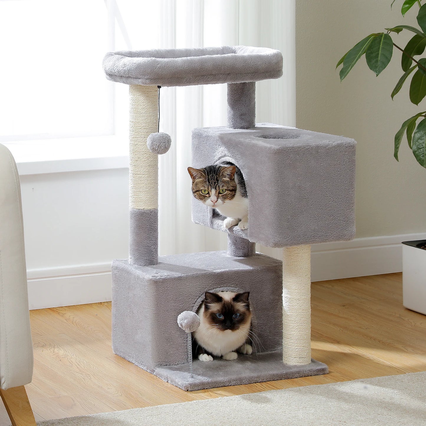 Multi-Level Cat Tree with Sisal Posts & Padded Perch
