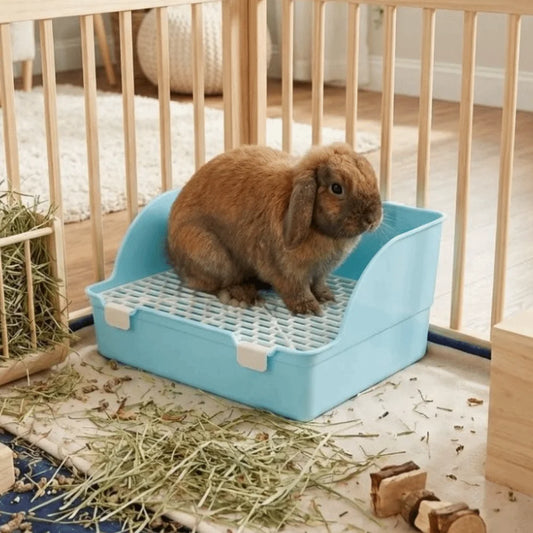 Splash-Proof Rabbit Litter Tray main product image