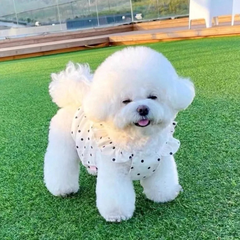 Polka Dot Pet Dress for Small Dogs product image 2